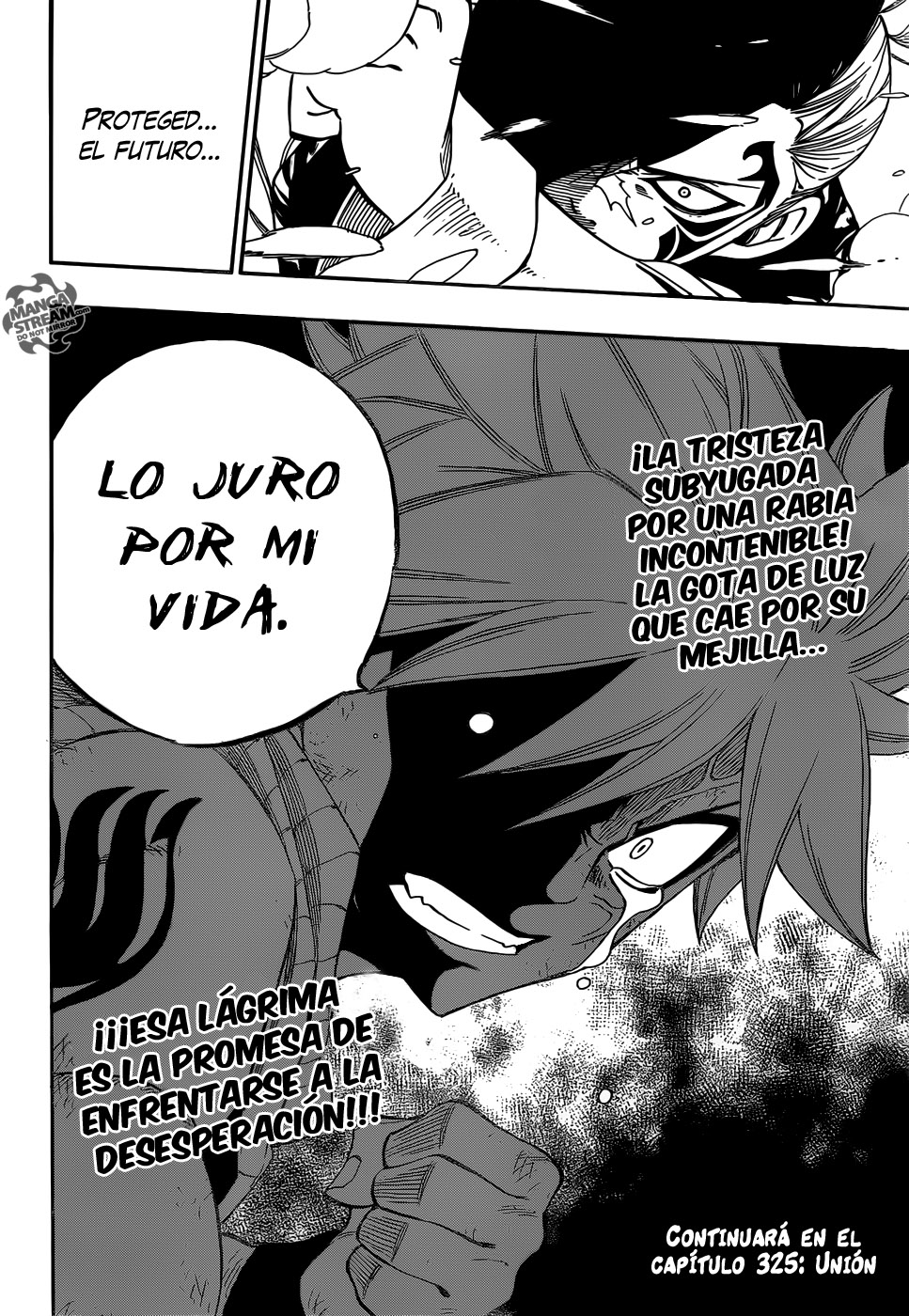 Fairy Tail (MagaStream) 19